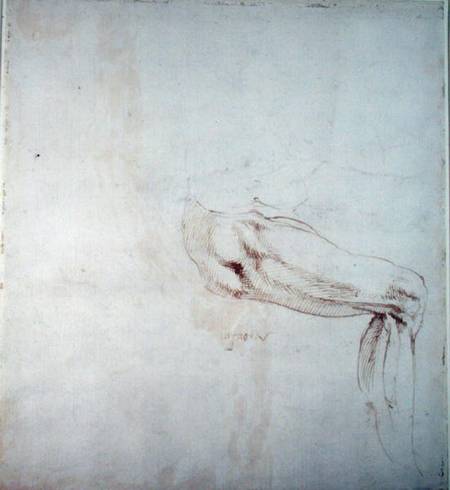Study of a Leg with Notes  (recto) od Michelangelo (Buonarroti)