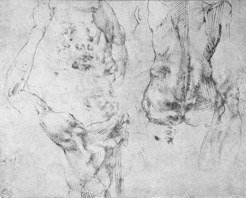 Study of a back and shoulder (pen & ink on paper) od Michelangelo (Buonarroti)