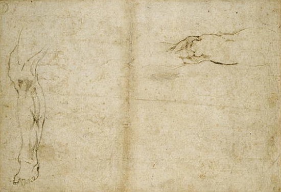 Study of a human leg, 16th century od Michelangelo (Buonarroti)
