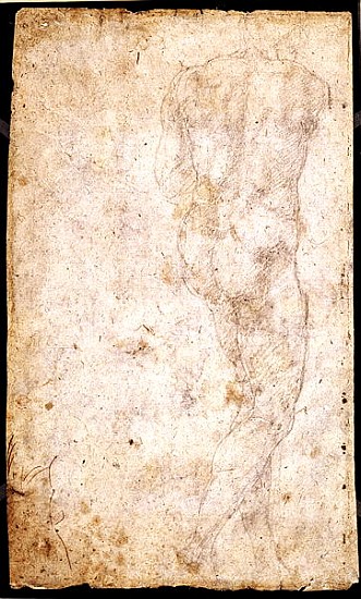 Study of a Male Nude  (for verso see 191765) od Michelangelo (Buonarroti)