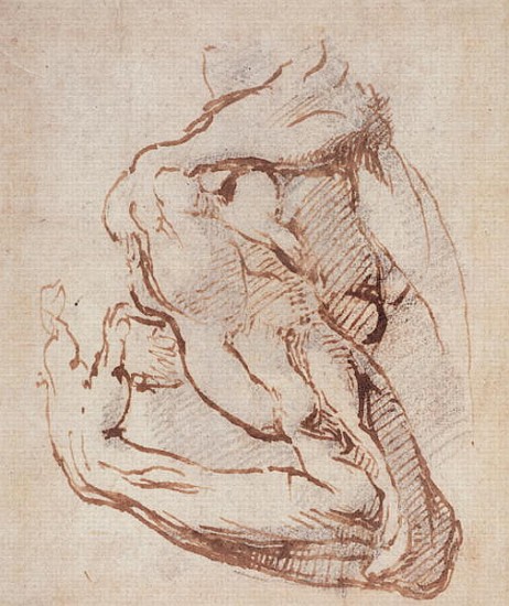 Study of an Arm Inv.1859/5/14/819 (W.49) od Michelangelo (Buonarroti)