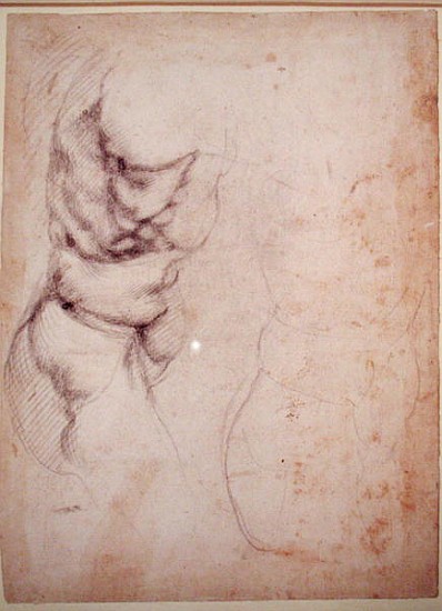 Study of torso and buttock od Michelangelo (Buonarroti)