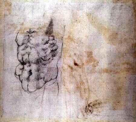 Torso Study (W.45 verso) od Michelangelo (Buonarroti)