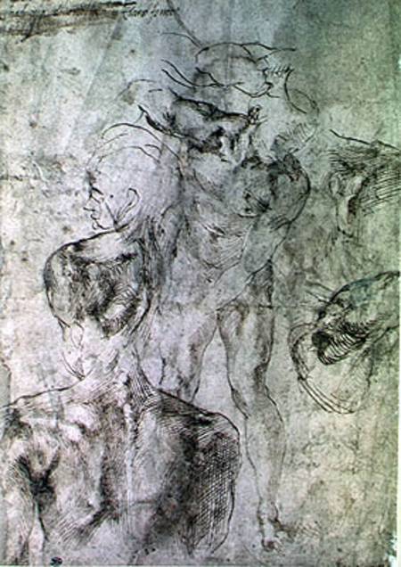 Various studies, verso of Study for David  & od Michelangelo (Buonarroti)