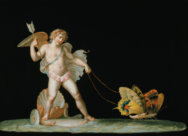 Cupid led by butterflies od Michelangelo Maestri
