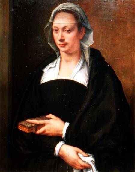 Portrait of a Lady in a White Veil od Michele Tosini