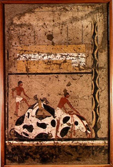 Funerary sacrifice of a bull, from the Tomb of Iti od Middle Kingdom Egyptian