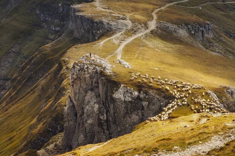 Alpine Pastures od Mihai Ian nedelcu