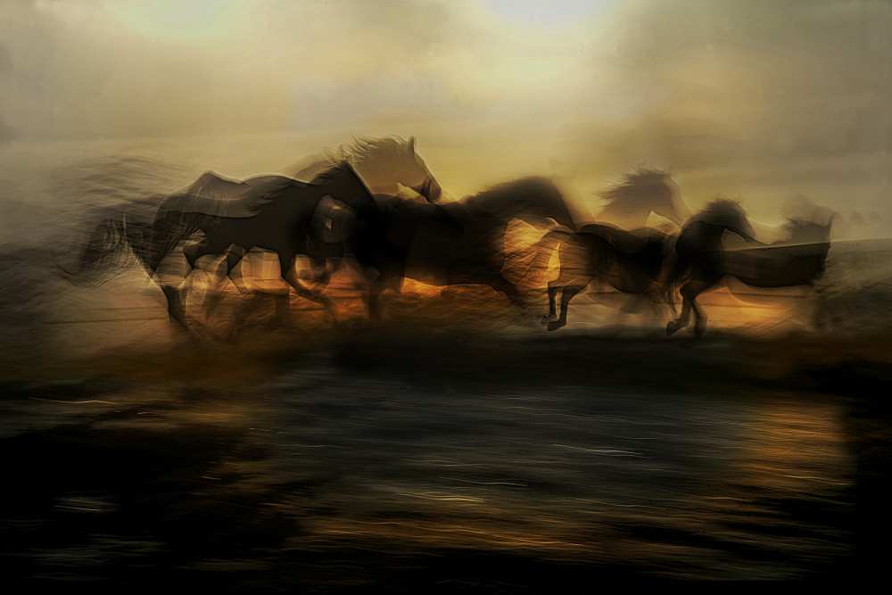 In the morning gallop od Milan Malovrh