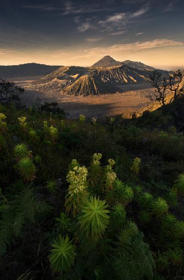 bromo volcano national park
