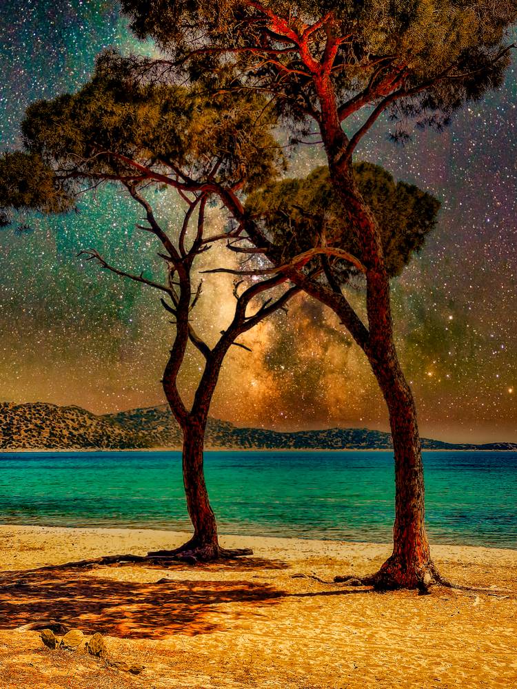 Pinien Bäume am Strand und Sternenhimmel in Griechenland od Miro May