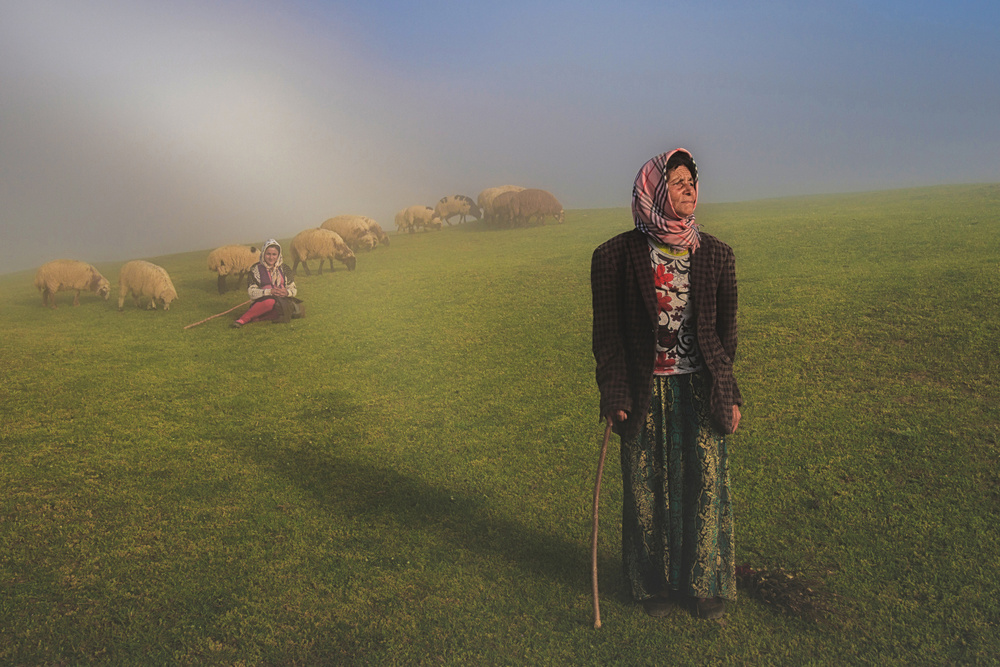 Shepherd in fog od Mohammad Shefaa AFIAP
