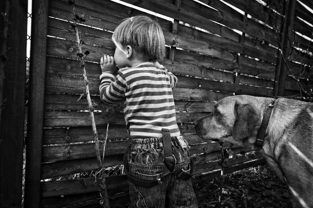 the world from behind the fence od Monika Strzelecka