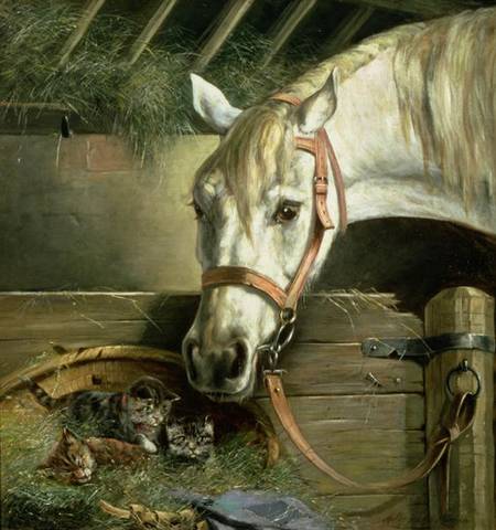 Horse and kittens od Moritz Muller