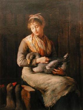 Young girl with geese