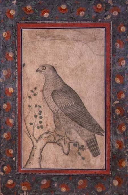 Falcon perched on a leafy stump od Mughal School