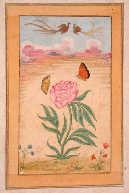 Flowering plants with birds of paradise and butterflies, from the Small Clive Album od Mughal School