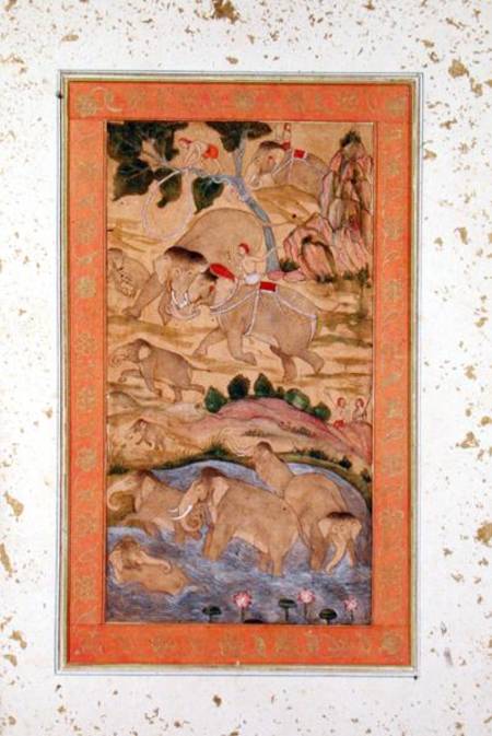 Hunters Capturing Elephants, from the Large Clive Album od Mughal School