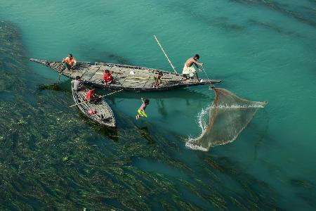 Fishing in the algae river