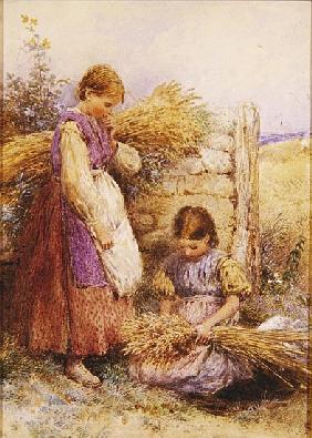The Young Gleaners