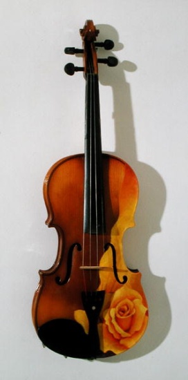 The Rose of Violin od Myung-Bo  Sim