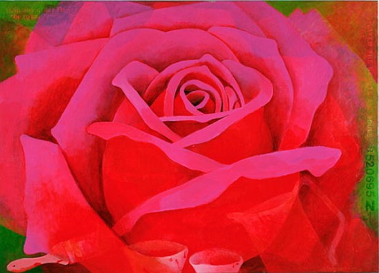 The Rose, 1995 (acrylic on canvas)  od Myung-Bo  Sim