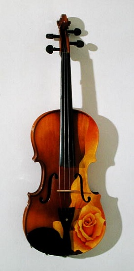 The Rose of Violin od Myung-Bo  Sim