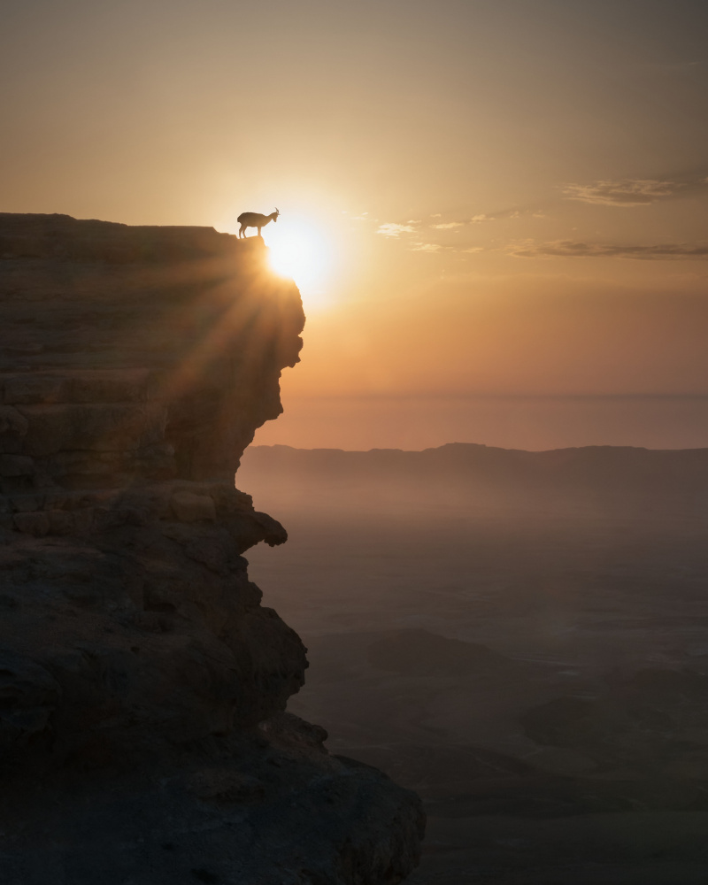 Desert Sunrise od Nadav Jonas