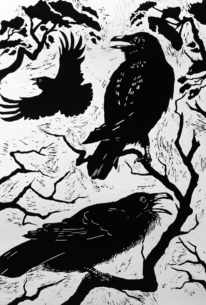 Ravens, 1998 (woodcut)  od Nat  Morley