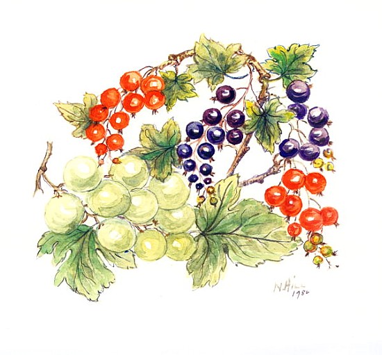 Black and Red Currants with Green Grapes, 1986 (w/c on paper)  od Nell  Hill