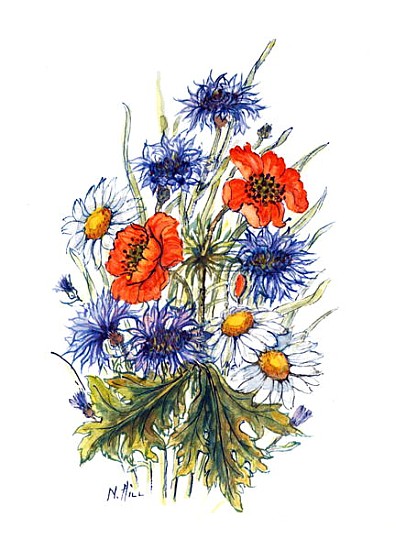 Cornflower, Poppy and Ox-eye Daisy (w/c on paper)  od Nell  Hill