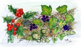 Log of Ivy, Holly and Hazelnuts