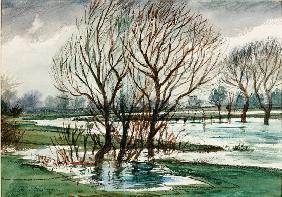 Willows (chalk and watercolour on paper