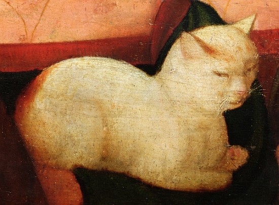 A white cat, detail from ''Four People Laughing at the Sight of a Cat'' (detail of 221426) od Niccolo Frangipane