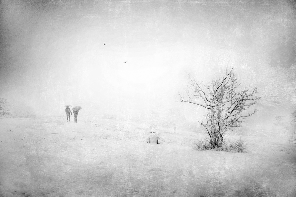 Snow in the park od Nicodemo Quaglia