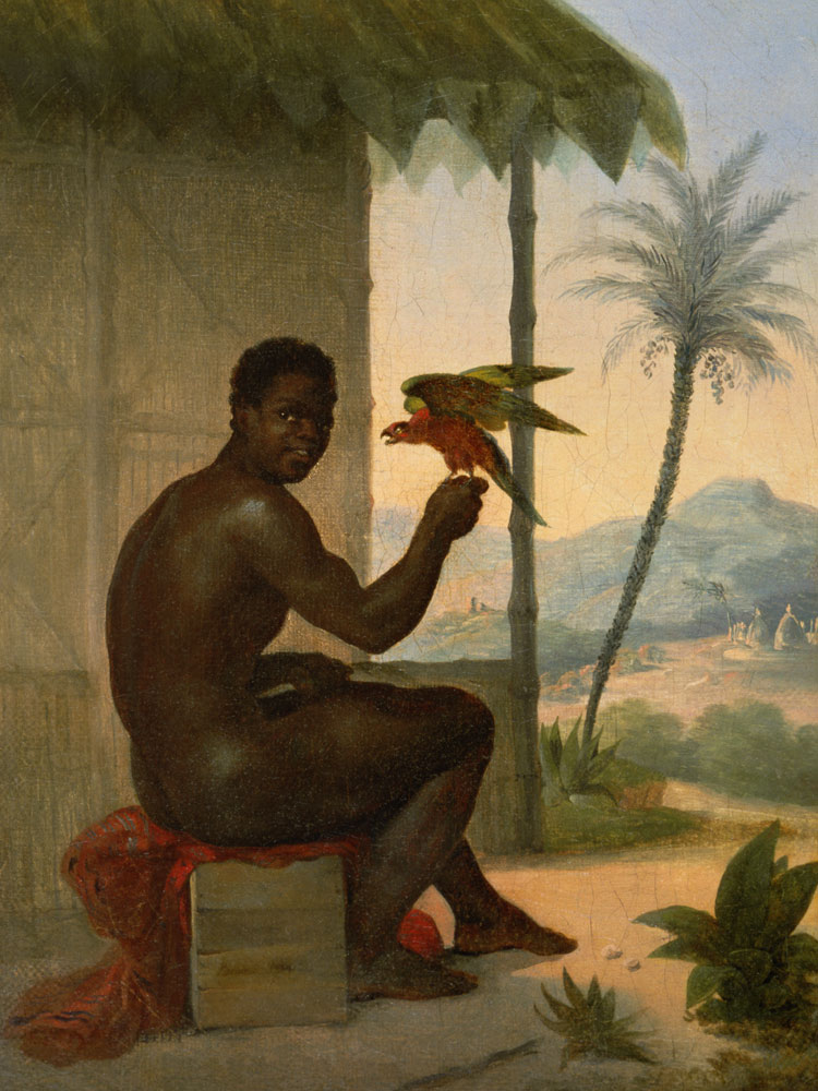 Brazilian negro with Tropical Bird od Nicolas Antoine Taunay