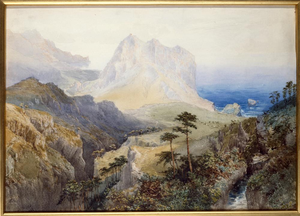 A Gorge near the Sea, Southern Alps, New Zealand od Nicolas Chevalier