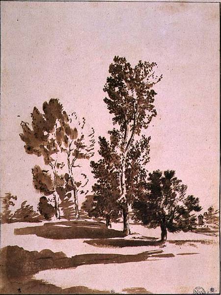 Tree Study (pen & ink on paper) od Nicolas Poussin