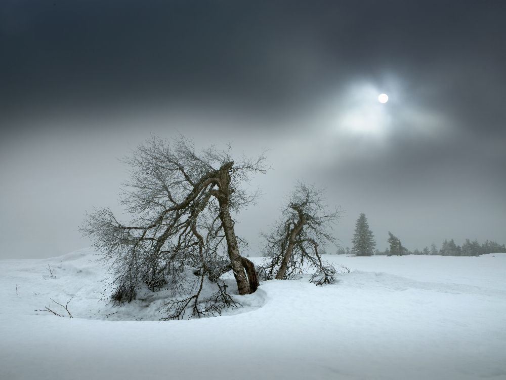 last days of winter od Nicolas Schumacher