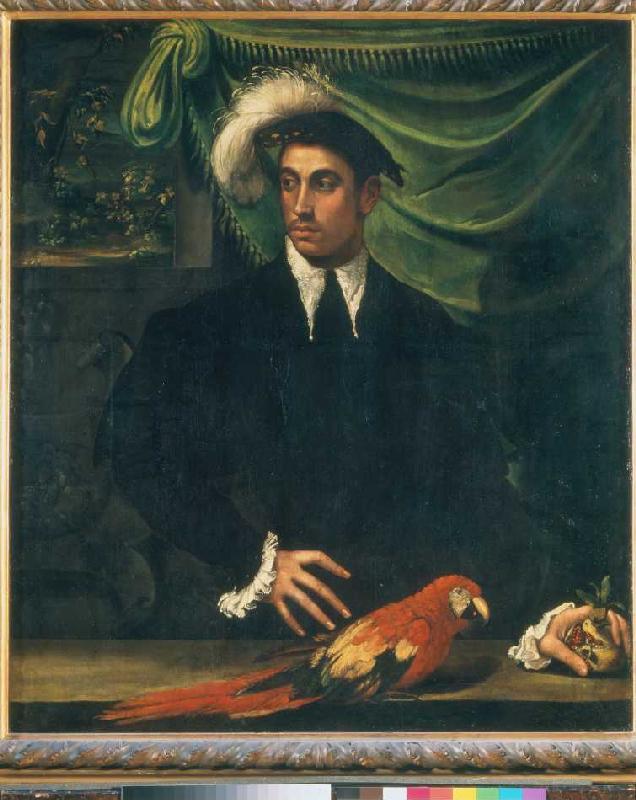 Man with parrot. od Nicoló dell'Abate