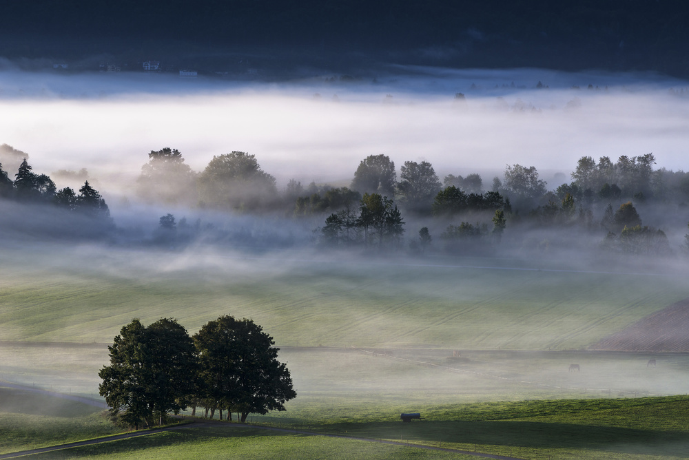 Magically rising fog... od Nina Pauli