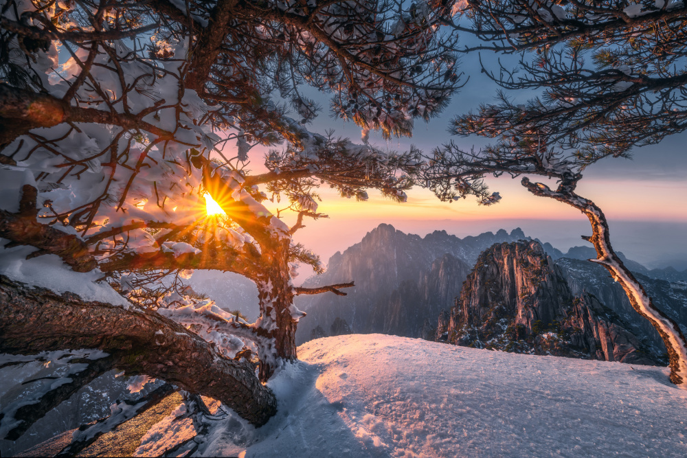 Yellow Mountain and Strange Pine after Snow od NingYun Ye