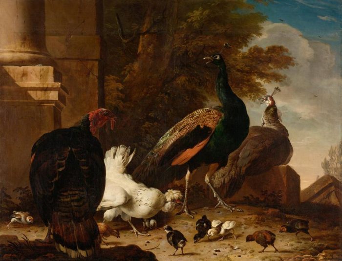 A Hen with Peacocks and a Turkey od 