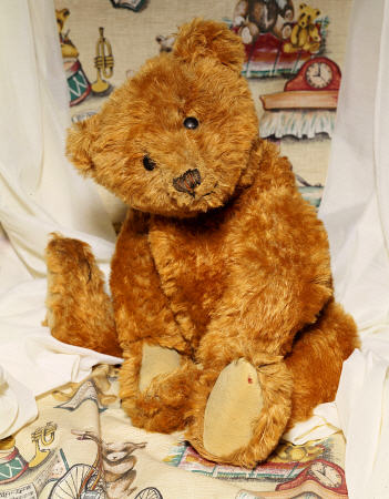 A Cinnamon Steiff Teddy Bear, C 1905 od 