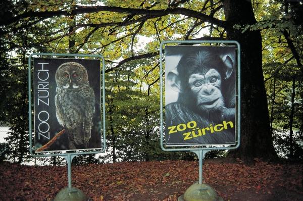 Animal signboards (photo)  od 