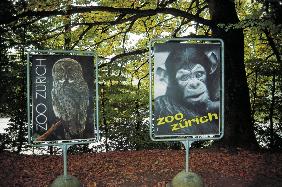Animal signboards (photo) 