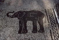 An Elephant, Roman, 2nd century AD (mosaic)