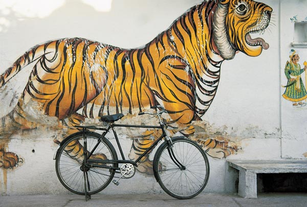 Bicycle at wall painting of tiger , Udaipur, Rajasthan, India (photo)  od 