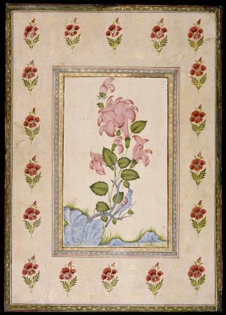 Bird And Flower Study, Mughal India od 