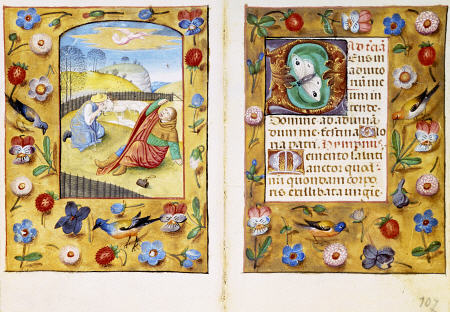 Book Of Hours,  Calendar Page Showing Peasants Slaughtering A Pig od 
